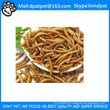 Lower Price Dried Mealworms for Poultry Pet Food Chicken Feed Birds Food